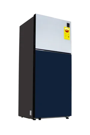 SAMSUNG RT60CB66218AGH Refrigerator